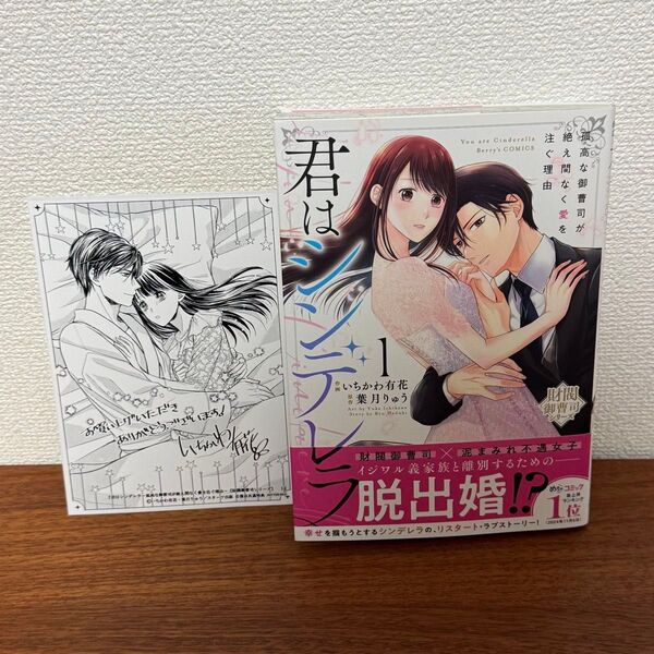 君はシンデレラ 孤高な御曹司が絶え間なく愛を注ぐ理由 1