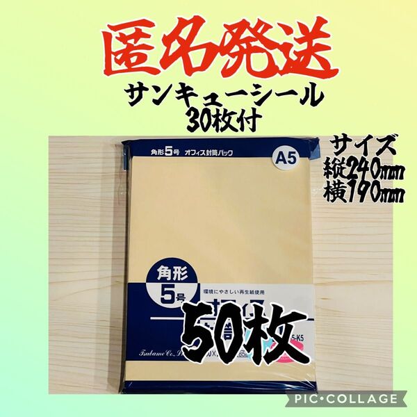 残りわずか A5 封筒 サイズ横19㌢、縦24㌢ 50枚
