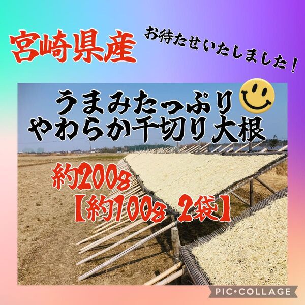 値下げ交渉× 宮崎県産 うまみたっぷりやわらか千切り大根 約200g