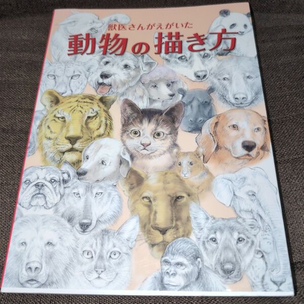 獣医さんがえがいた動物の描き方 鈴木真理/著