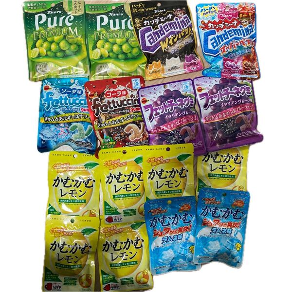 グミ 16点セット カンデミーナ フェットチーネグミ ピュレグミプレミアム かむかむレモン かむかむラムネ