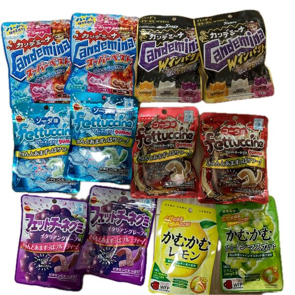 グミ12点セット カンデミーナ フェットチーネグミ かむかむレモン かむかむシャインマスカット