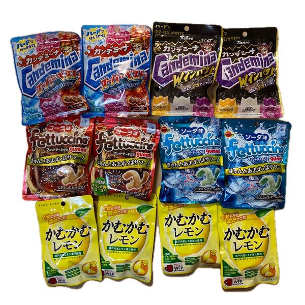 グミ12点セット カンデミーナ かむかむレモン フェットチーネグミ