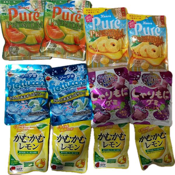 グミ12点セット ピュレグミプレミアム フェットチーネグミ しゃりもにグミ かむかむレモン