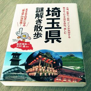 埼玉県謎解き散歩 (新人物文庫 か-6-1) 金井塚良一/編著 大村進/編著