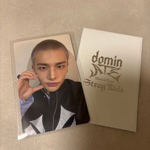 スキズ Stray Kids ヒョンジン トレカ domin ATE 特典トレカ 購入
