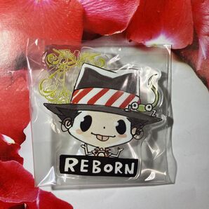 REBORN アクリルバッジコレクション Rebo&Dlive 第2弾 リボーン