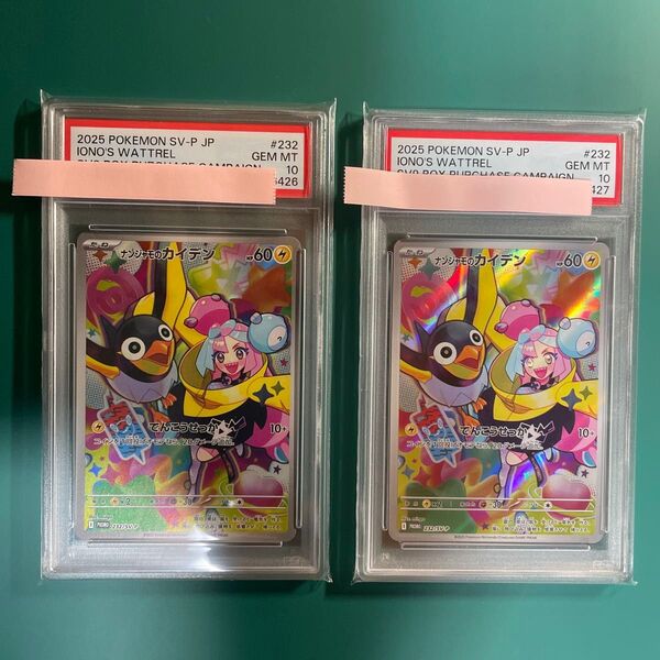連番ナンジャモのカイデンPSA10鑑定品!
