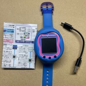 たまごっちユニ connection 万博 Uni Tamagotchi サンリオ ブルー ピンク パープル
