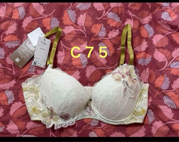 ワコールブラジャー C75 レシアージュ Wing レシアージュ