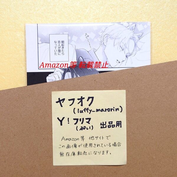 Cafe de NYASH GUSH コラボカフェ 後期 お会計特典 描き下ろし漫画ペーパー パーフェクトアディクション 美山薫子