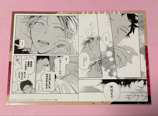 ギヴン 既刊フェア アニメイト特典 イラストカード 柊 玄純