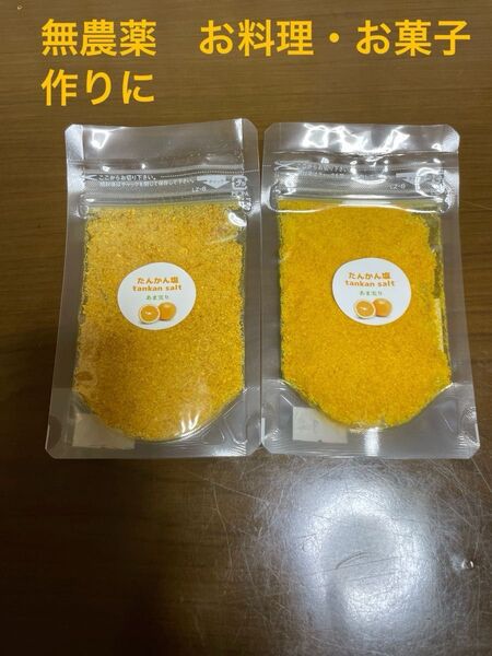 奄美 たんかん塩 25g 2個