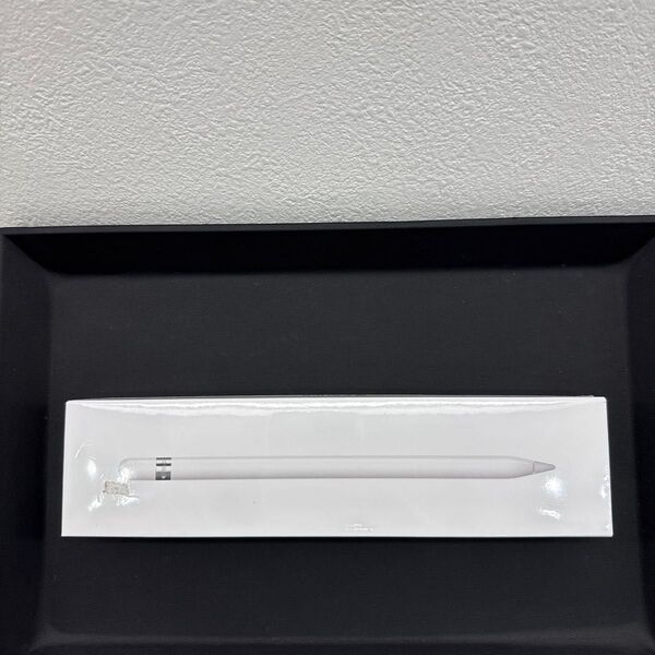 未使用 未開封品 Apple iPad Pro Apple Pencil 2015 アップルペンシル