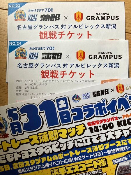 名古屋グランパス対アルビレックス新潟 観戦チケット 2枚 5/31 豊田スタジア