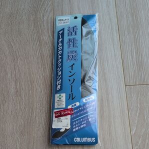 メンズ活性炭インソール LLサイズ