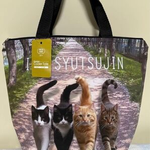 保冷バッグ エコバッグ トートバッグ ランチバッグ ランチトート 保冷保温バッグ クーラーバッグ 保冷バッグ お弁当袋 ネコ 子猫