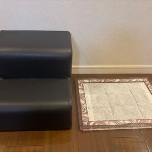 ドッグステップ2段&アクリルトイレトレー