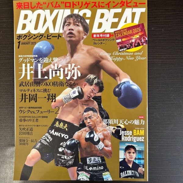 アイアンマンジャパン増刊 BOXING BEAT 2025年1月号 (フィットネススポーツ)