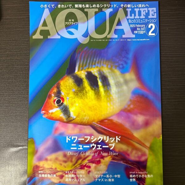 月刊アクアライフ 2025年2月号 (エムピージェー)