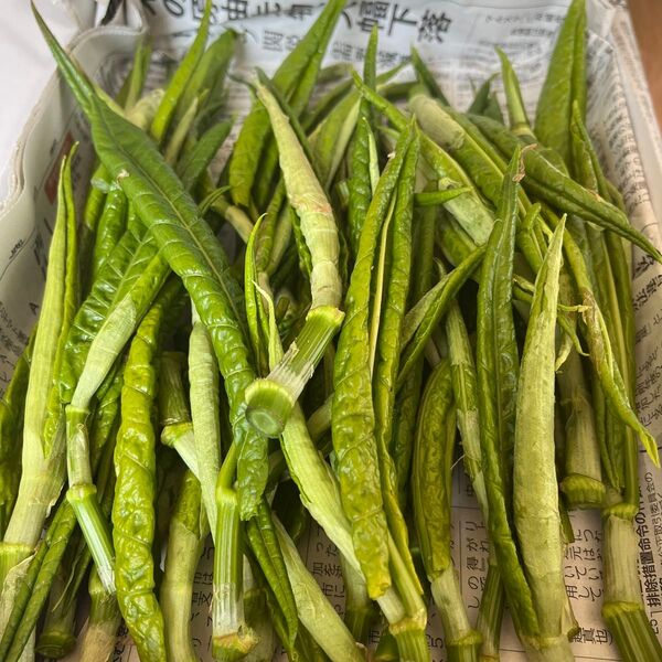 青森県産 さしぼ 300g以上 ゆうパケットいっぱいでお届け