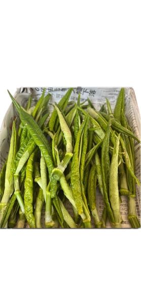 青森県産 採れたてさしぼ 300g ゆうパケットいっぱい