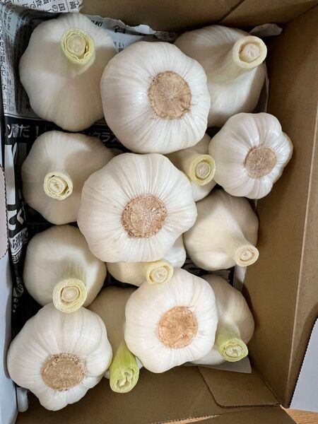 無農薬ニンニク1kg