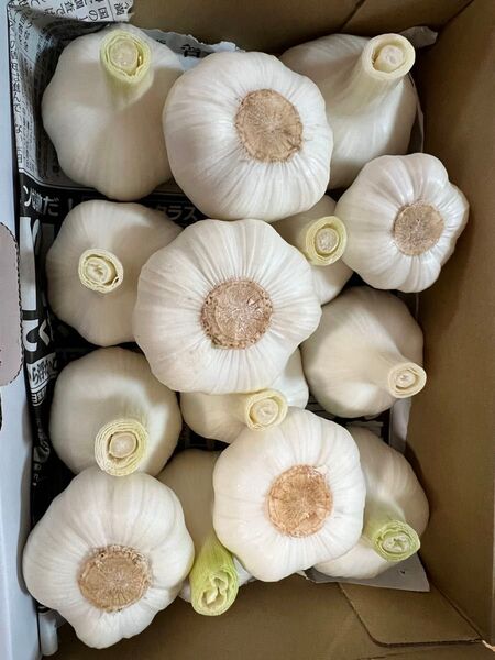 無農薬生にんにく1kg