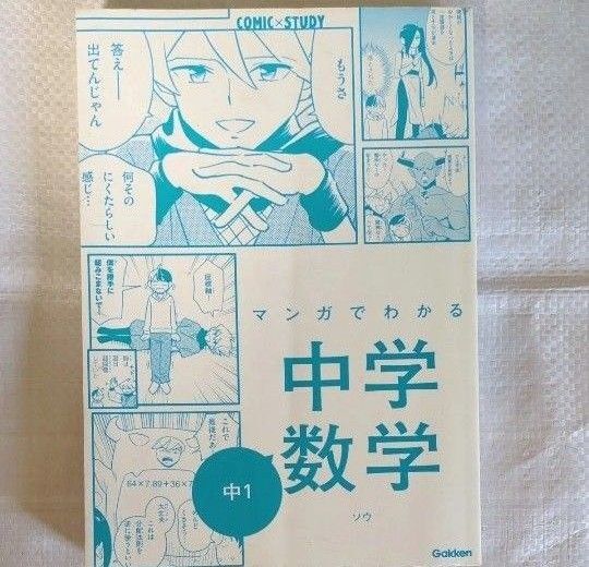 マンガでわかる中学数学 中1 参考書