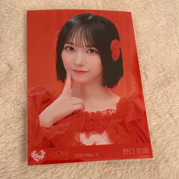 =LOVE イコラブ 野口衣織 生写真 とくべチュ、して ヨリ