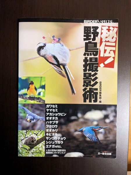 秘伝!野鳥撮影術 (BIRDER SPECIAL) BIRDER編集部/編