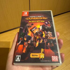 【Switch】 Minecraft Dungeons Hero Edition