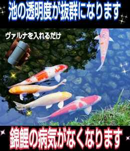 池の透明度が抜群になります【ヴァルナ池用】病原菌や感染症など有害物質を強力抑制！錦鯉飼育者絶賛！池に入れるだけで５００トン浄化する