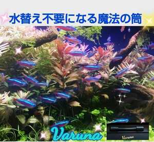ヤフオク テトラ 水槽 淡水魚 の中古品 新品 未使用品一覧 ヤフオク テトラ 水槽 淡水魚 の中古品 新品 未使用品一覧