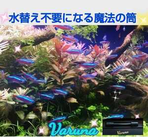  aquarium. water quality improvement .![ Val Nami ni8 centimeter ] have . material . powerful suppression! pathogen .. feeling ..... transparency . eminent .* aquarium . inserting only! water change un- necessary .!