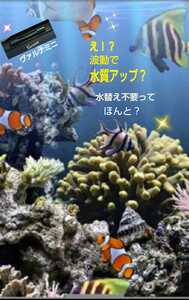 海水魚の飼育者も絶賛！【ヴァルナ23センチ】有害物質を強力抑制！病原菌や感染症を防ぎ透明度が抜群に☆水槽に入れるだけ！水替え不要に