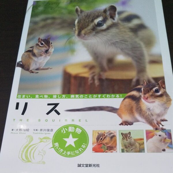 『リス』《住まい、食べ物、接し方、病気のことがすぐわかる! 》