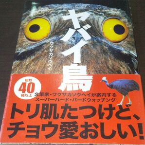 『ヤバイ鳥』《 ワクサカソウヘイ》