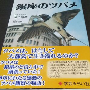 『銀座のツバメ 』