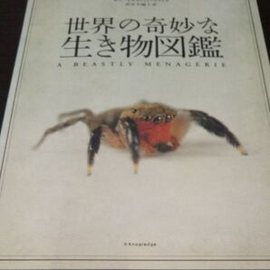 『世界の奇妙な生き物図鑑 』
