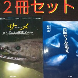 『サメの本』【2冊セット】 《深海ザメ》