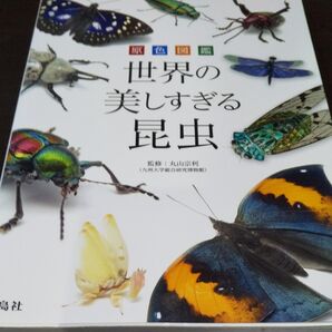『原色図鑑世界の美しすぎる昆虫 』