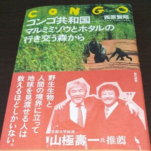『コンゴ共和国マルミミゾウとホタルの行き交う森から』