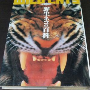 『野生ネコの百科』 (動物百科)《改訂版》