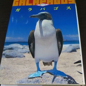 『ガラパゴス 時を忘れた生き物たち 』(動物百科)