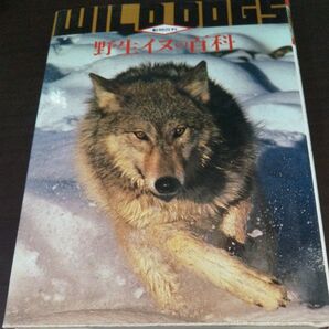 『野生イヌの百科』 (動物百科)
