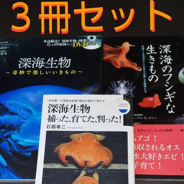 『深海生物の本』【3冊セット】