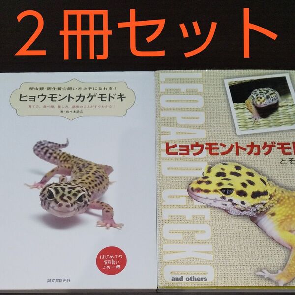 『ヒョウモントカゲモドキ』【2冊セット】