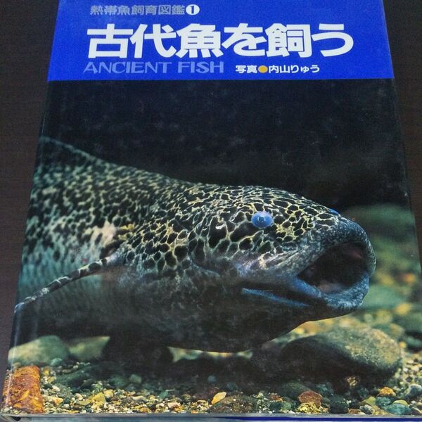 『古代魚を飼う』《 熱帯魚飼育図鑑①》
