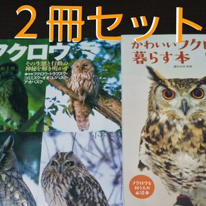 『フクロウの本』【2冊セット】